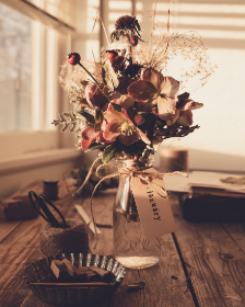 欧美日韩在线视频二区