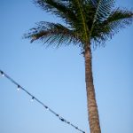 亚洲AV欧美一区二区三区 6hf66