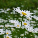 小雪涨开了灌满了 6mz8cu