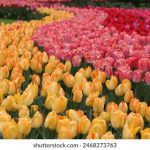 陆战之王全集在线观看 b4vr9h