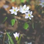 欧美日韩精品第一页 fwfct