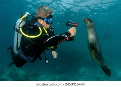 亚洲AV综合一区二区