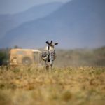 国产成年无码AV片在线 o6zyy3sce