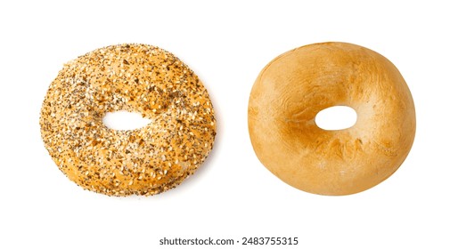 阿宾1-72全文阅读