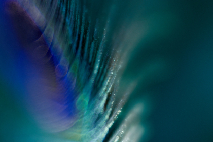 第二部细雨绵绵全文