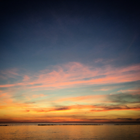 xtrfy中国官网：探索高性能游戏外设的最佳选择与购买指南